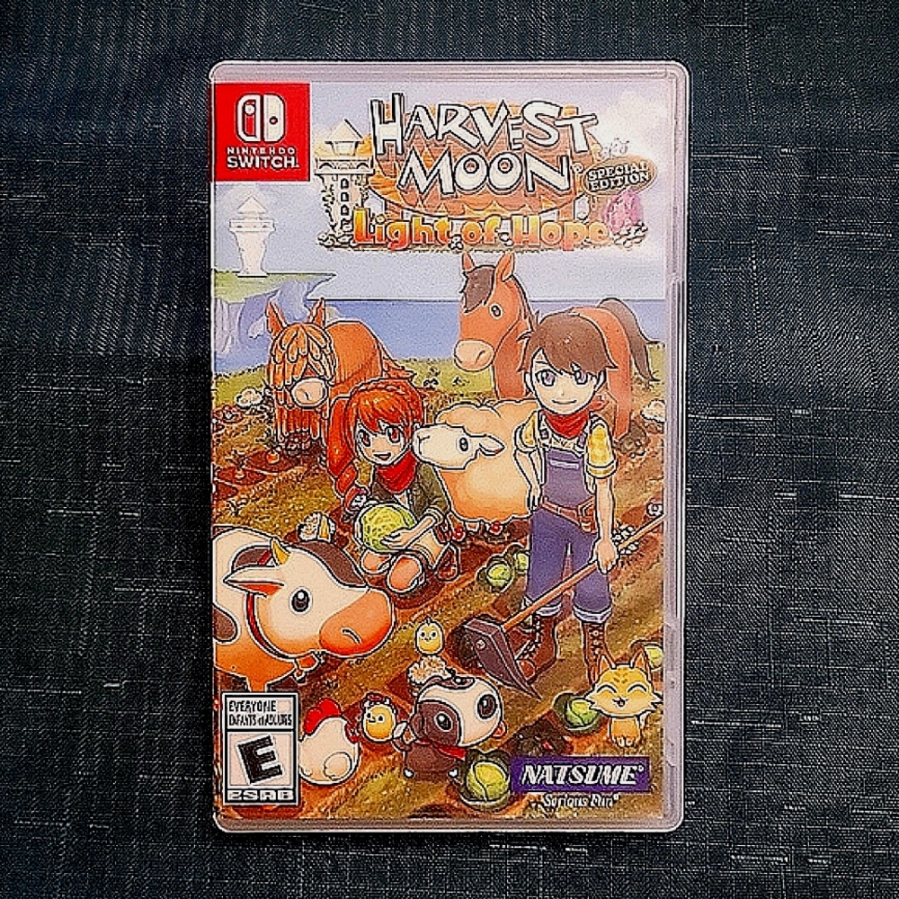 Nintendo Switch Game